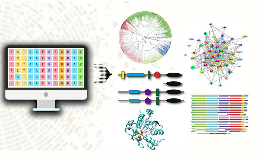 Proteomics Course