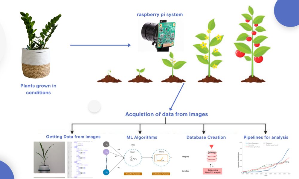 Phenotyping Book Chapter